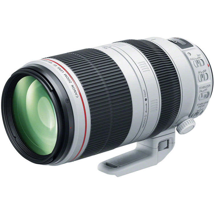 Canon EF 100-400mm f/4.5-5.6L IS II USM