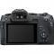Canon EOS R8 Mirrorless Camera with RF 24-50mm f/4.5-6.3 IS STM Lens with EF-EOS R mount adapter - view 2